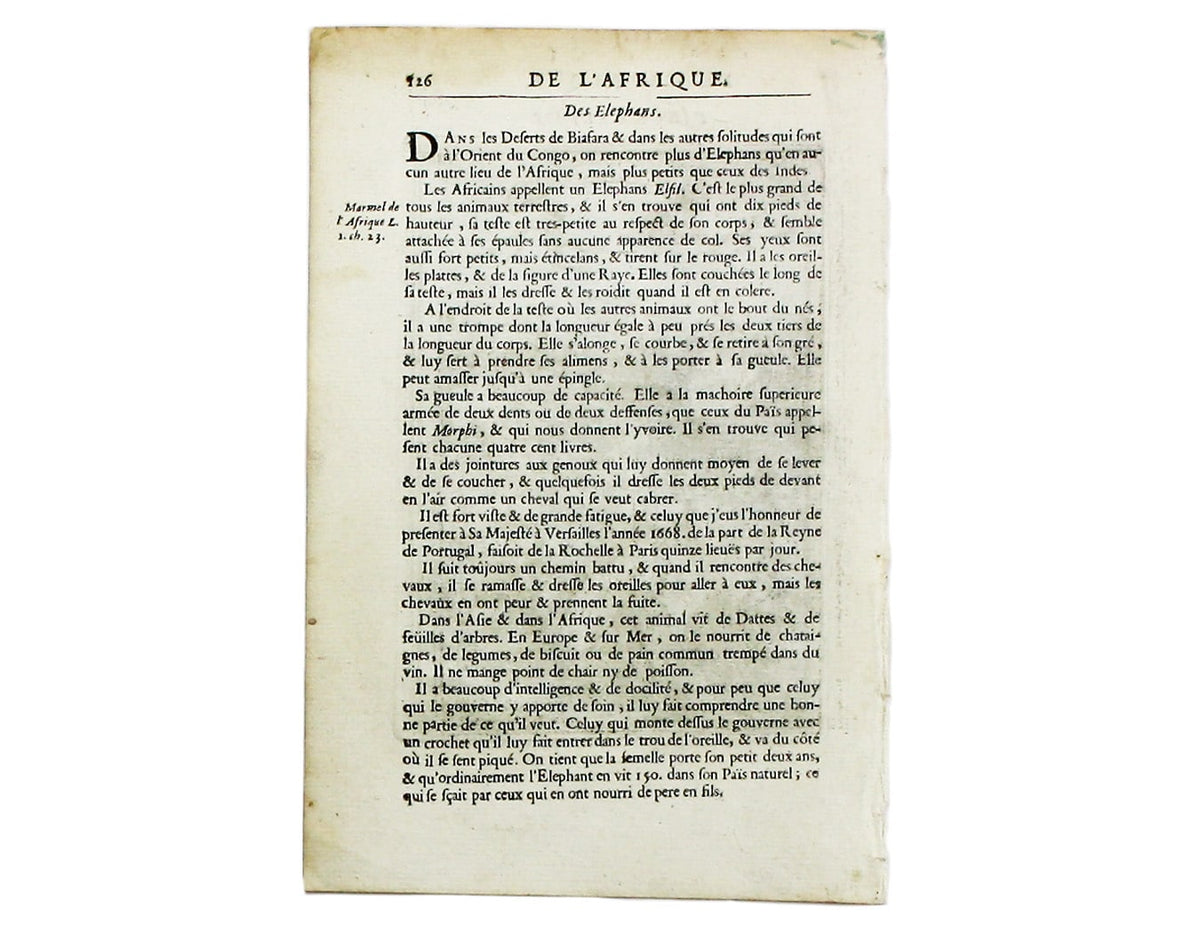 Mallet’s São Salvador
