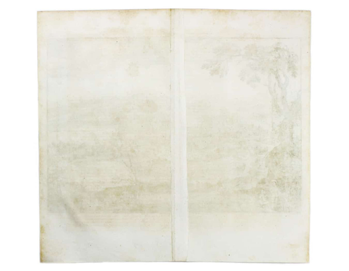 Merian’s Lyons