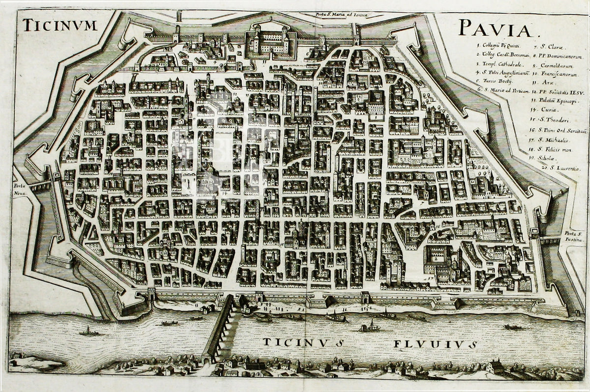 Merian’s Pavia