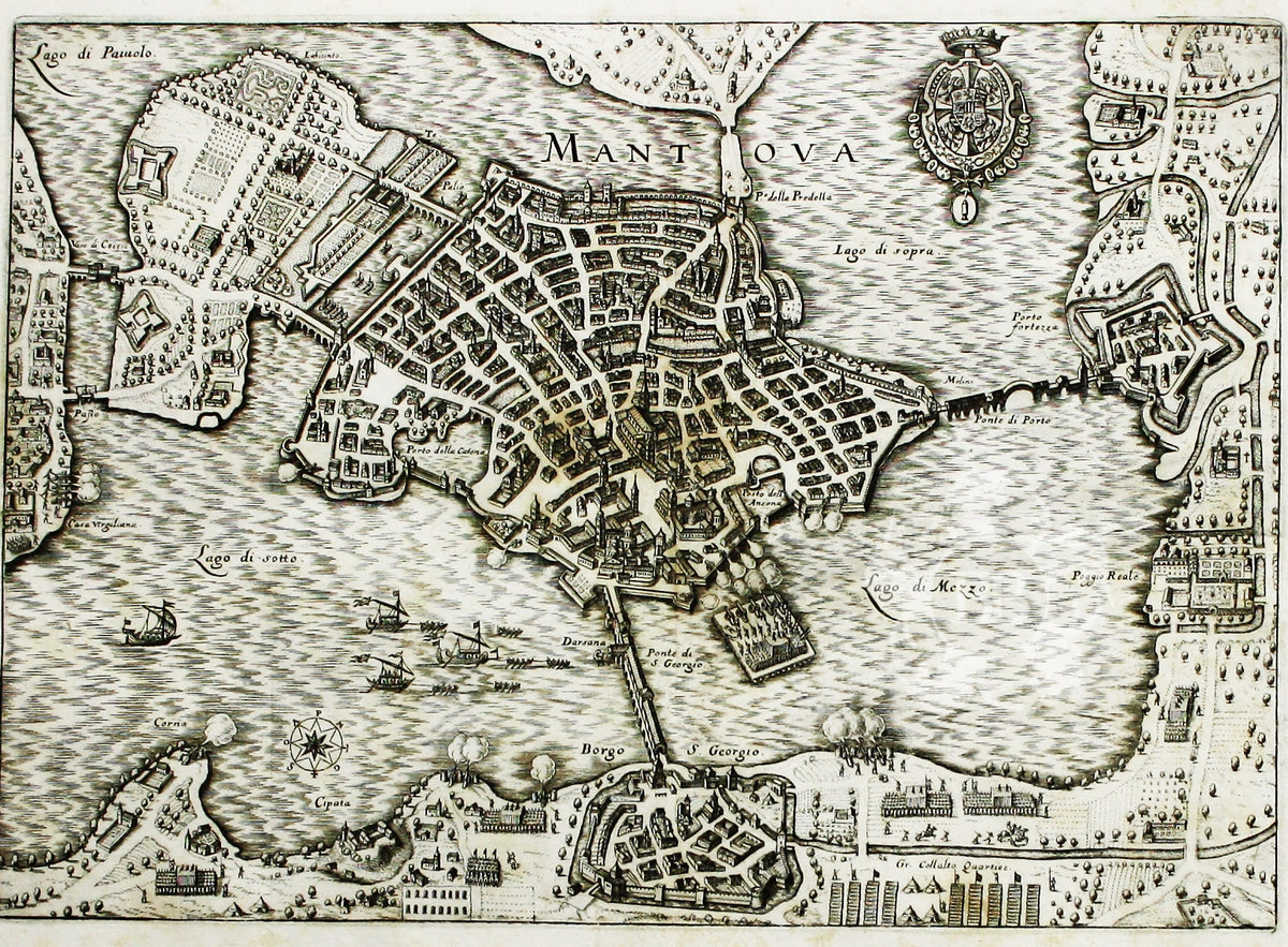 Merian’s Mantua