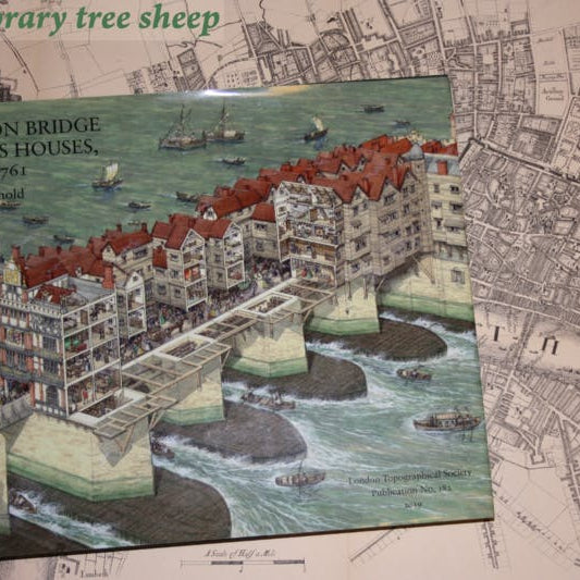 London Bridge and its Houses c. 1209-1761 by Dorian Gerhold, published by The London Topographical Society, 2019
