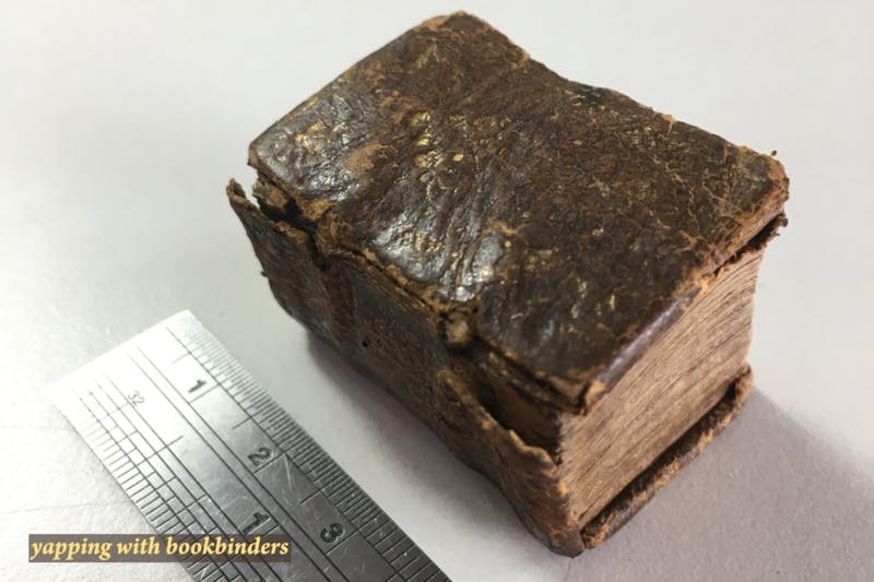 Thumbing Through The Bible: Restoration in Miniature