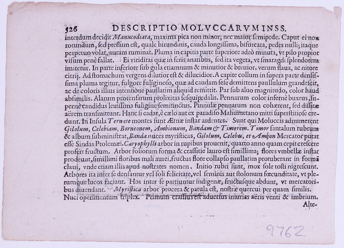 Langenes' Miniature Map of the Maluku Islands