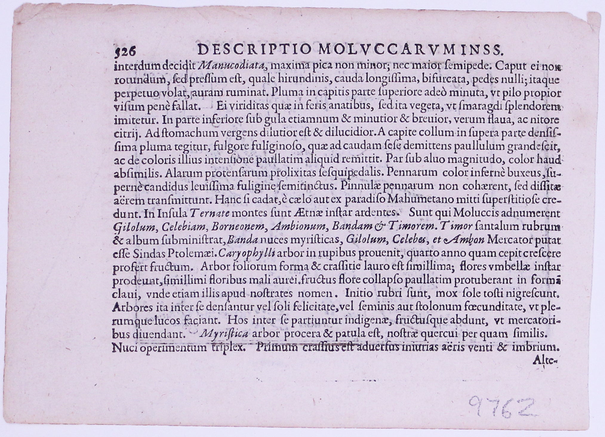 Langenes' Miniature Map of the Maluku Islands