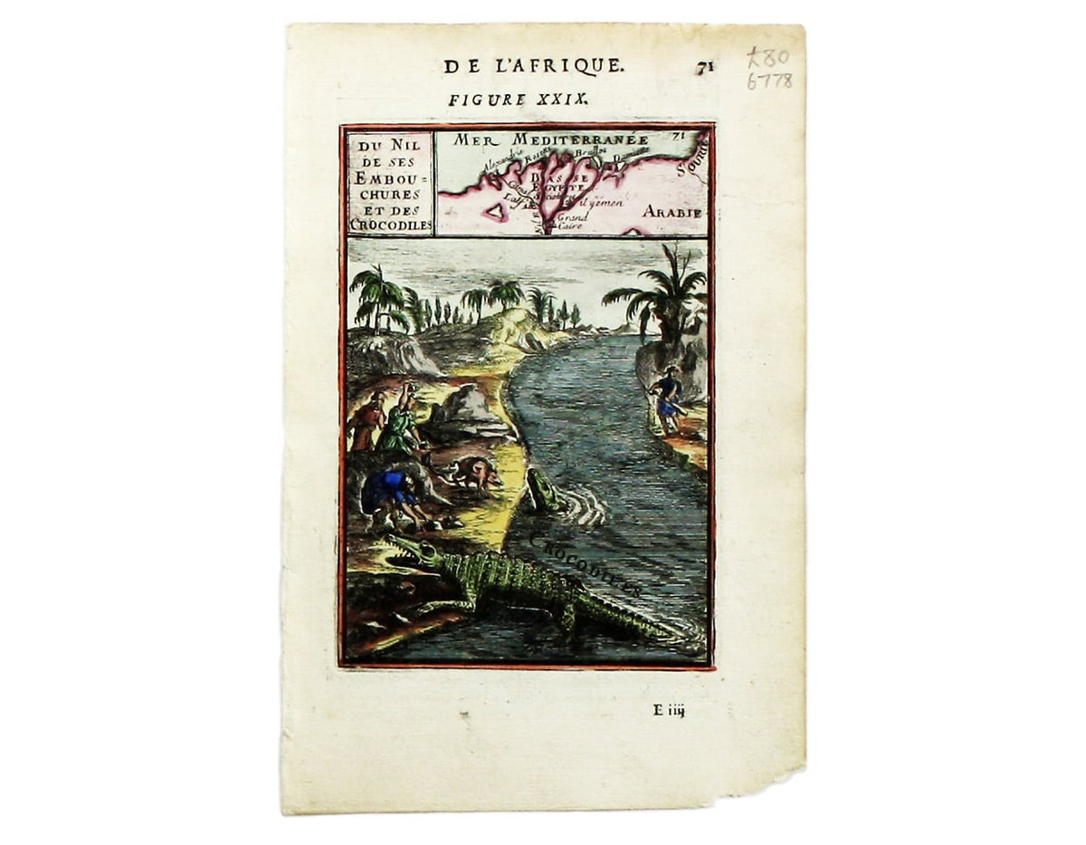 Mallet’s Nile Delta