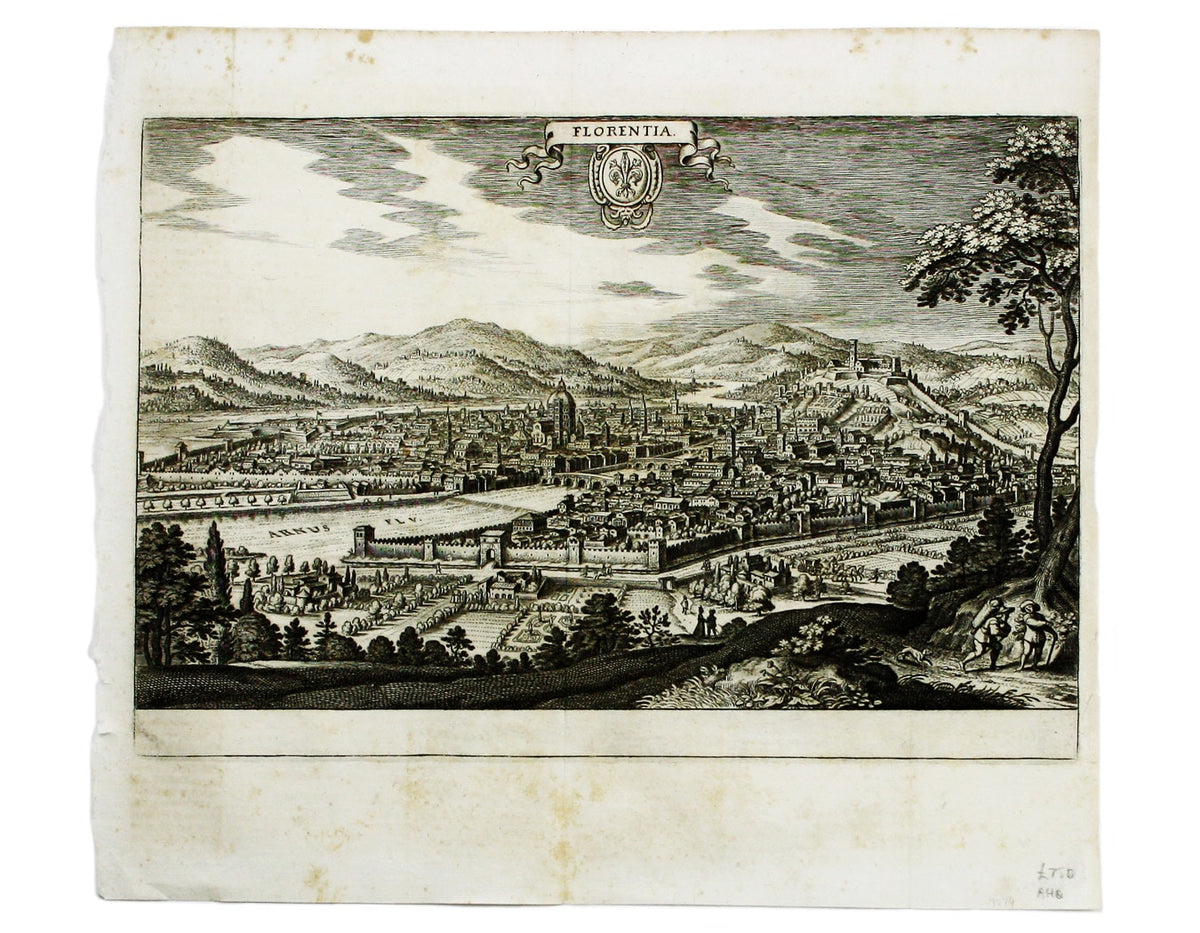 Merian’s Florence