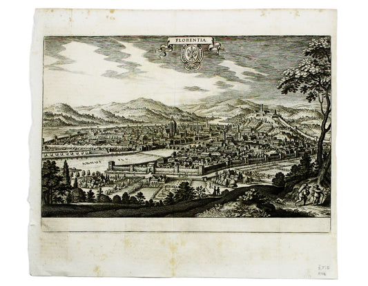 Merian’s Florence