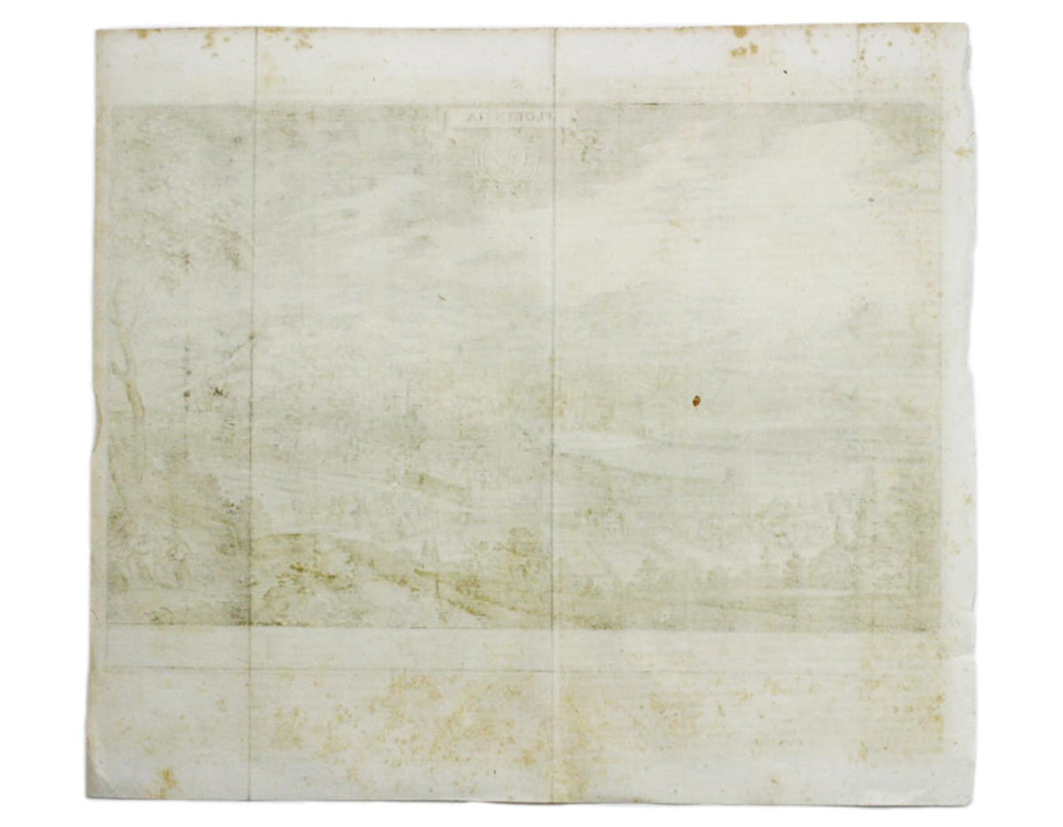 Merian’s Florence