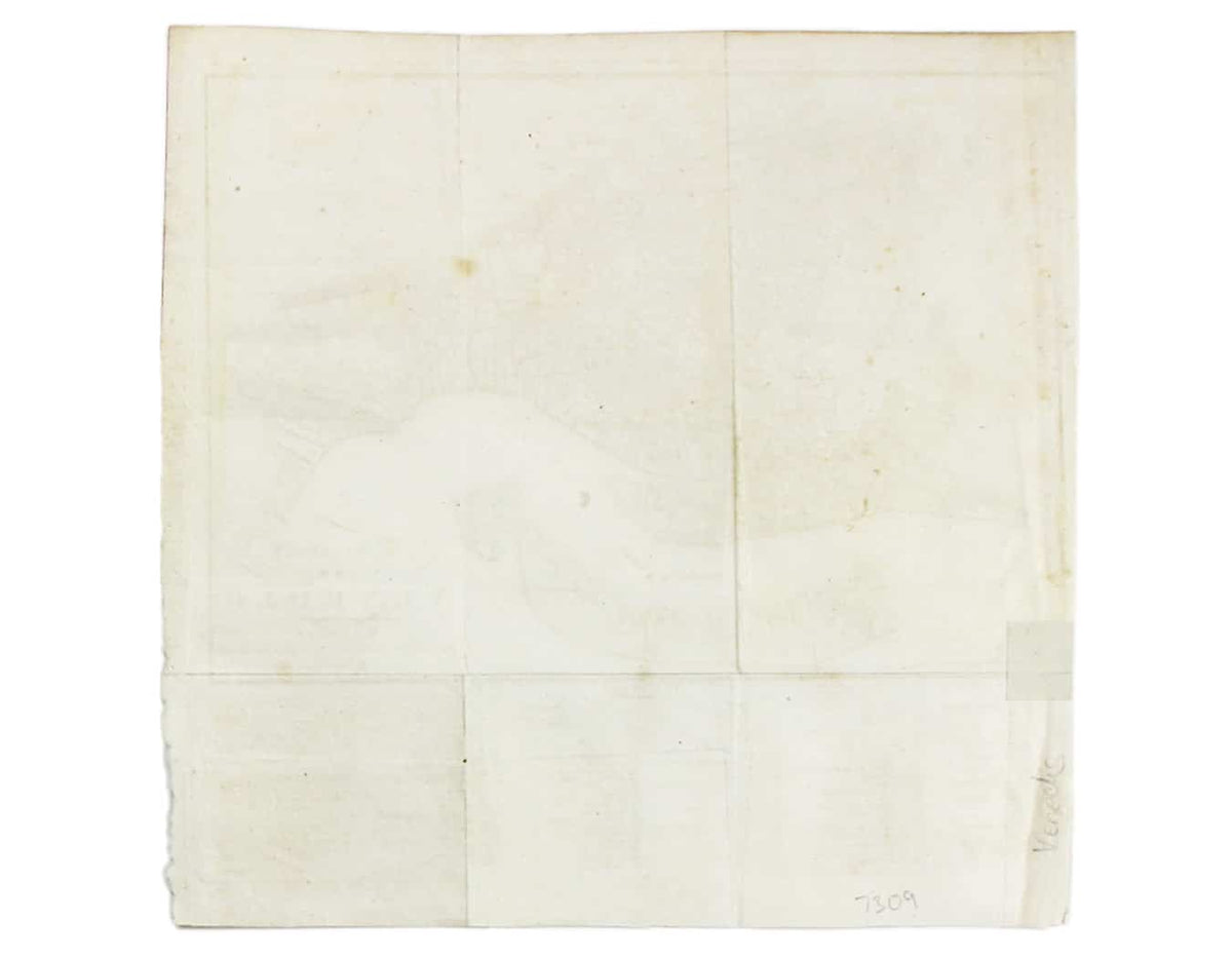 Stadtplan of Napoleonic Venice