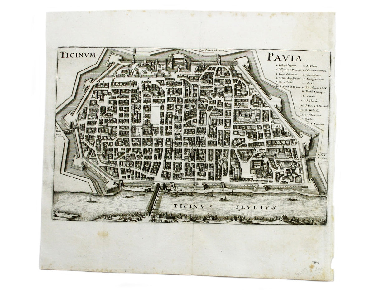 Merian’s Pavia