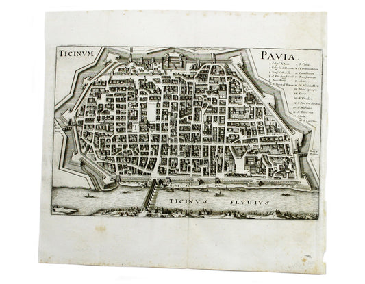 Merian’s Pavia