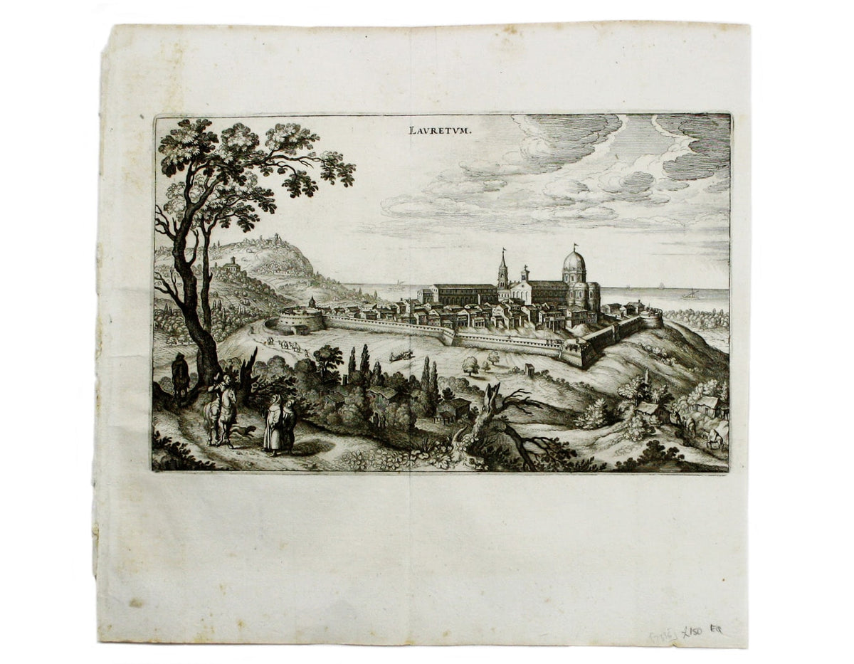 Merian’s Loreto