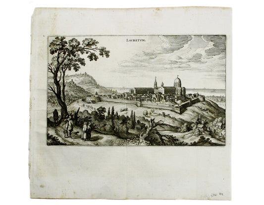 Merian’s Loreto