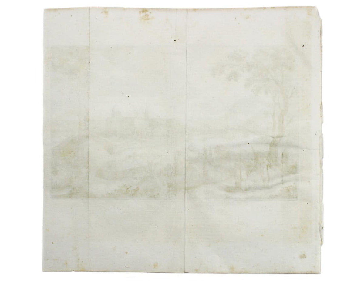 Merian’s Loreto