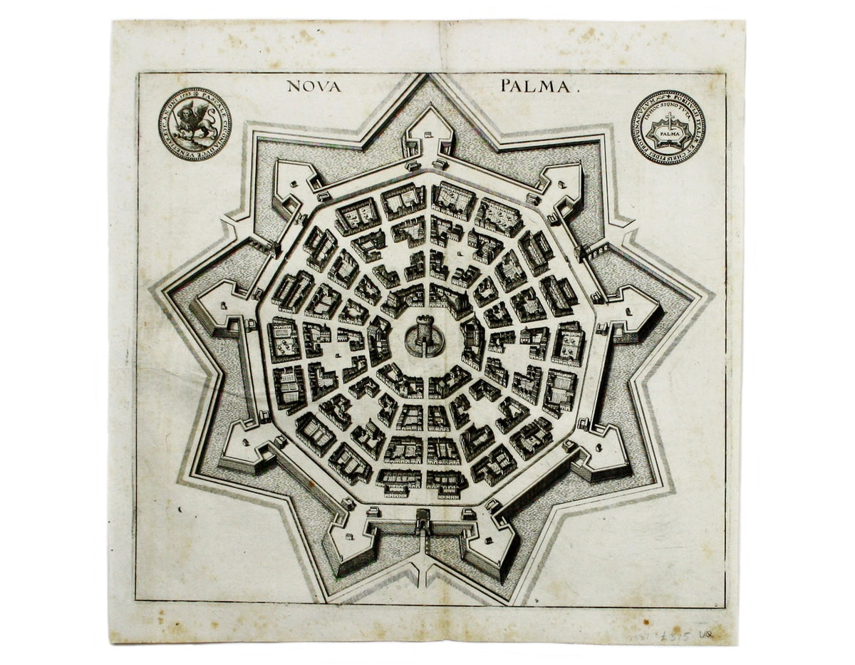Merian’s Palmanova