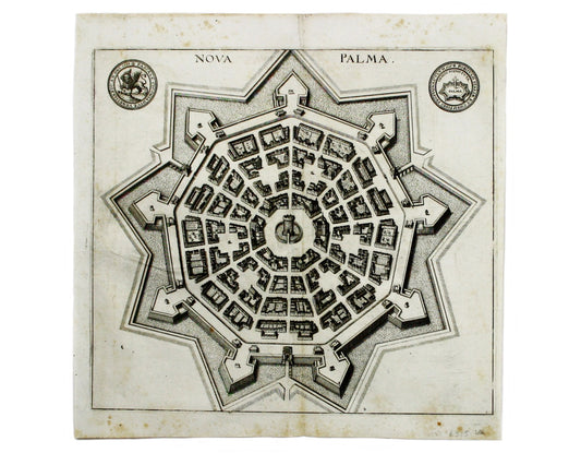 Merian’s Palmanova