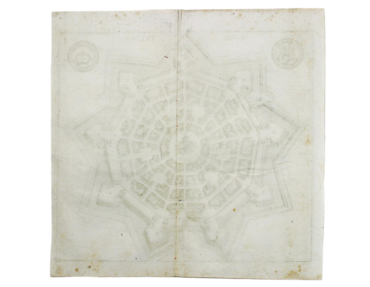 Merian’s Palmanova
