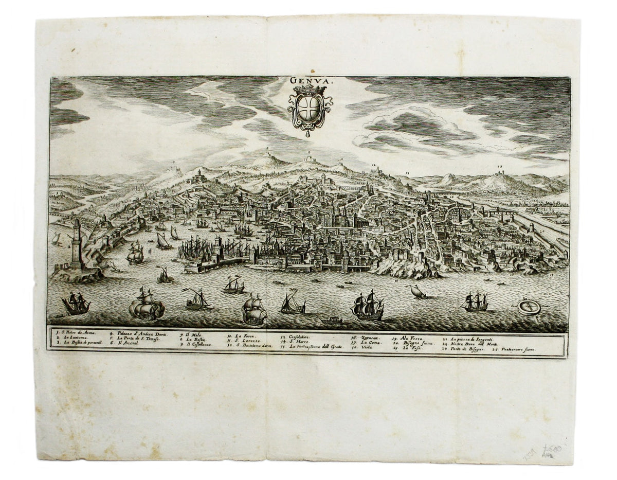 Merian’s Genoa