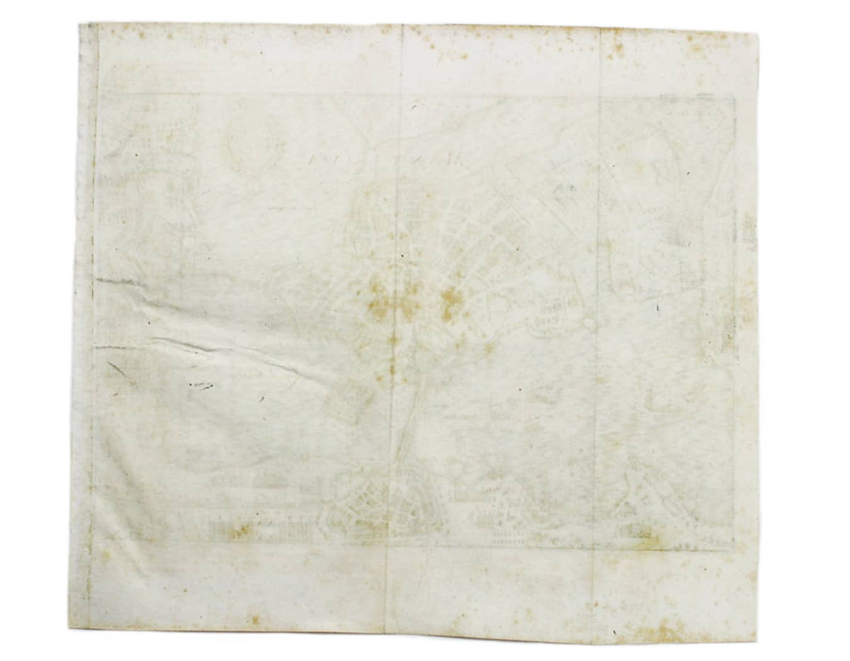 Merian’s Mantua