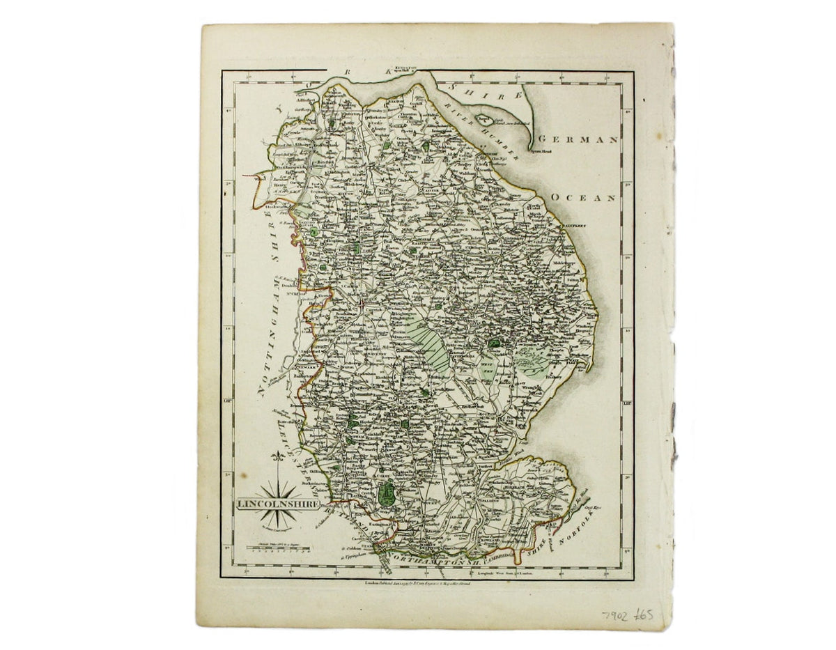 Cary’s Miniature Lincolnshire