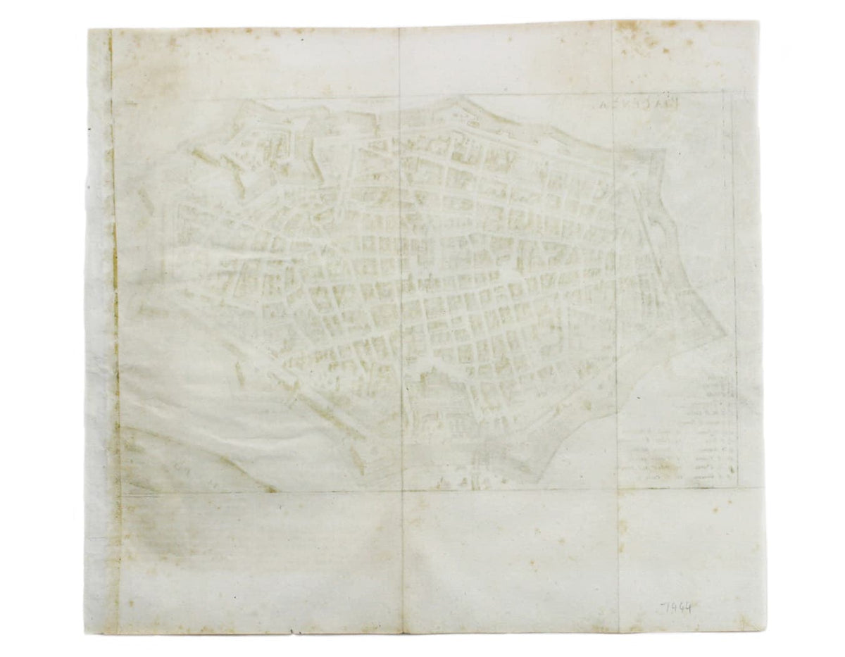 Merian’s Piacenza