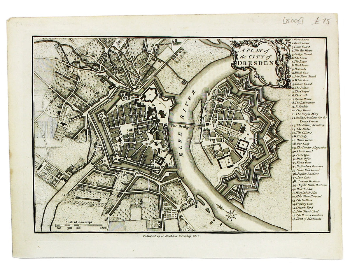 Andrews’ Dresden