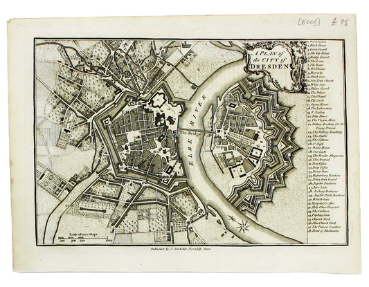 Andrews’ Dresden