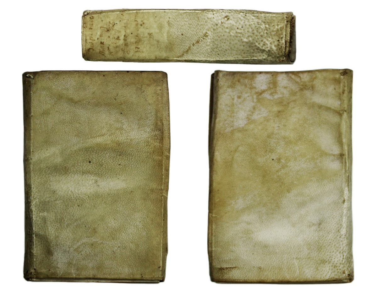 The Princeps of Maximus of Tyre