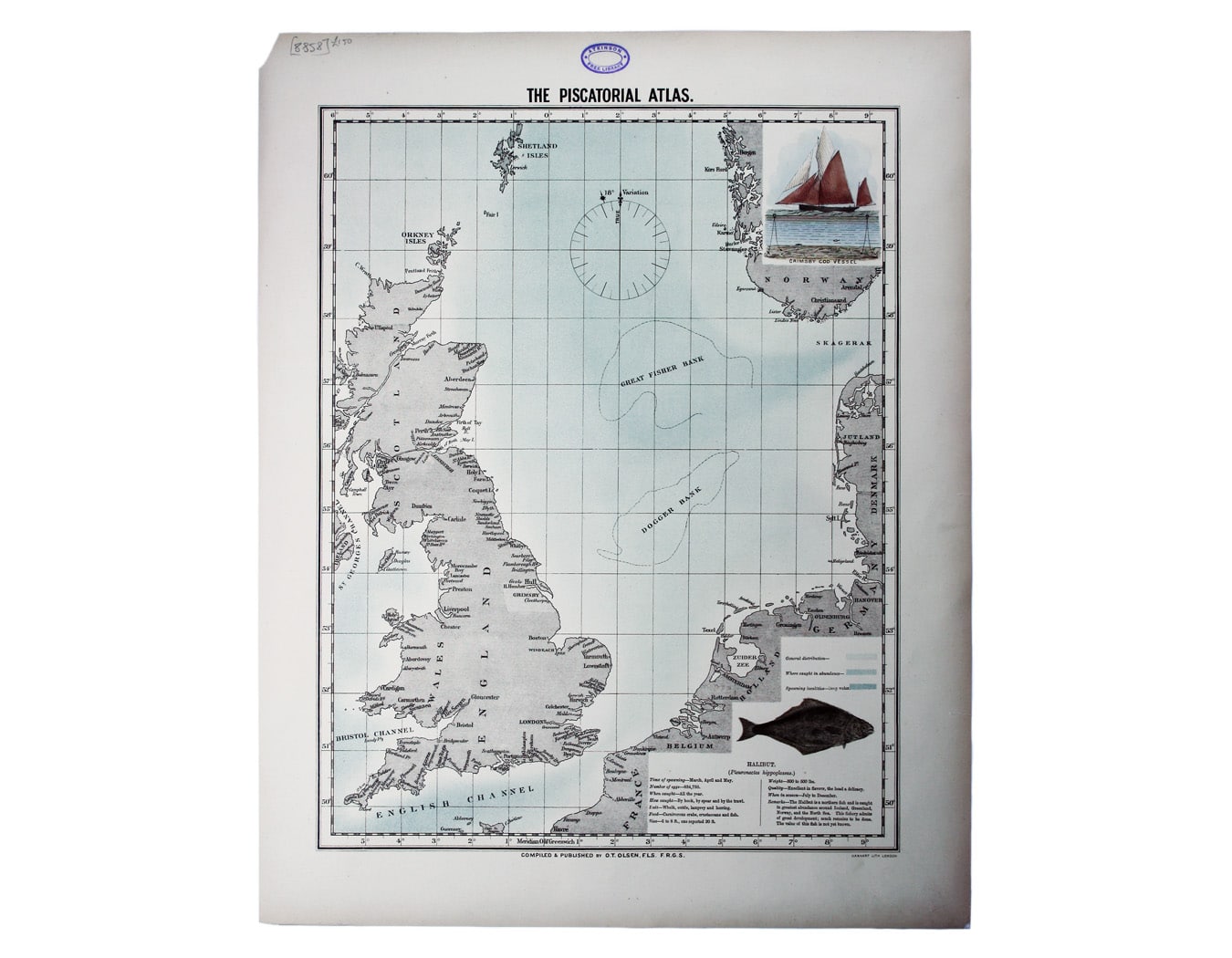 Olsen’s Chart of Halibut Stocks in British Waters