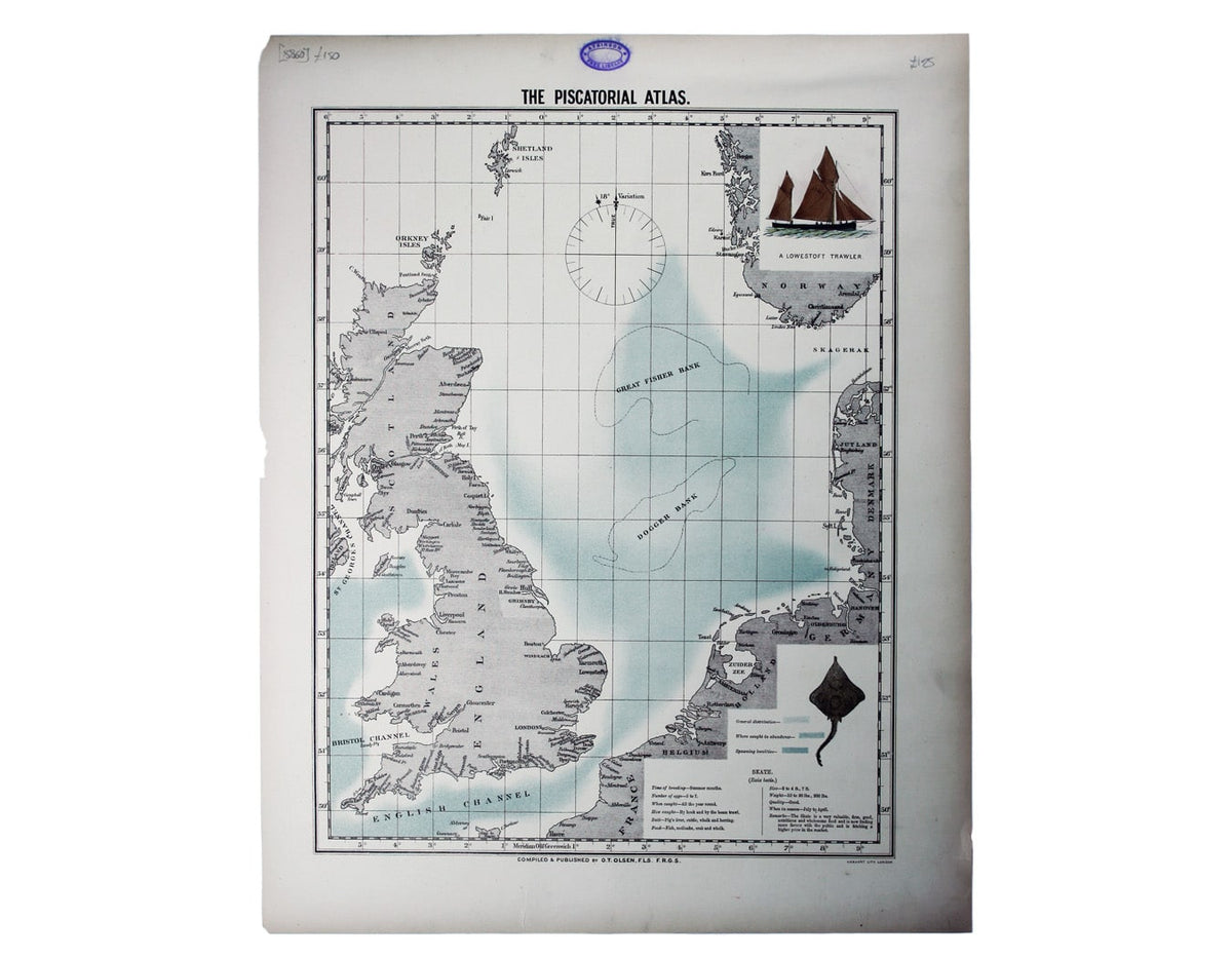 Olsen’s Chart of Skate Stocks in British Waters