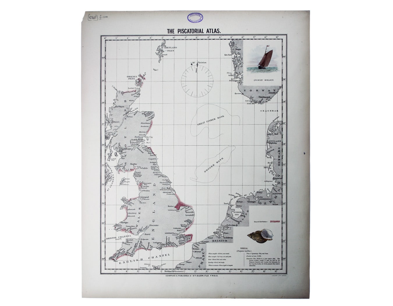 Olsen’s Chart of Whelk Stocks in British Waters