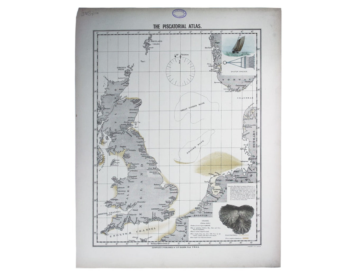Olsen’s Chart of Oyster Stocks in British Waters