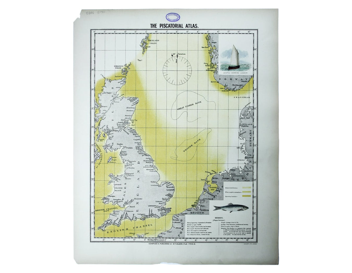 Olsen’s Chart of Herring Stocks in British Waters