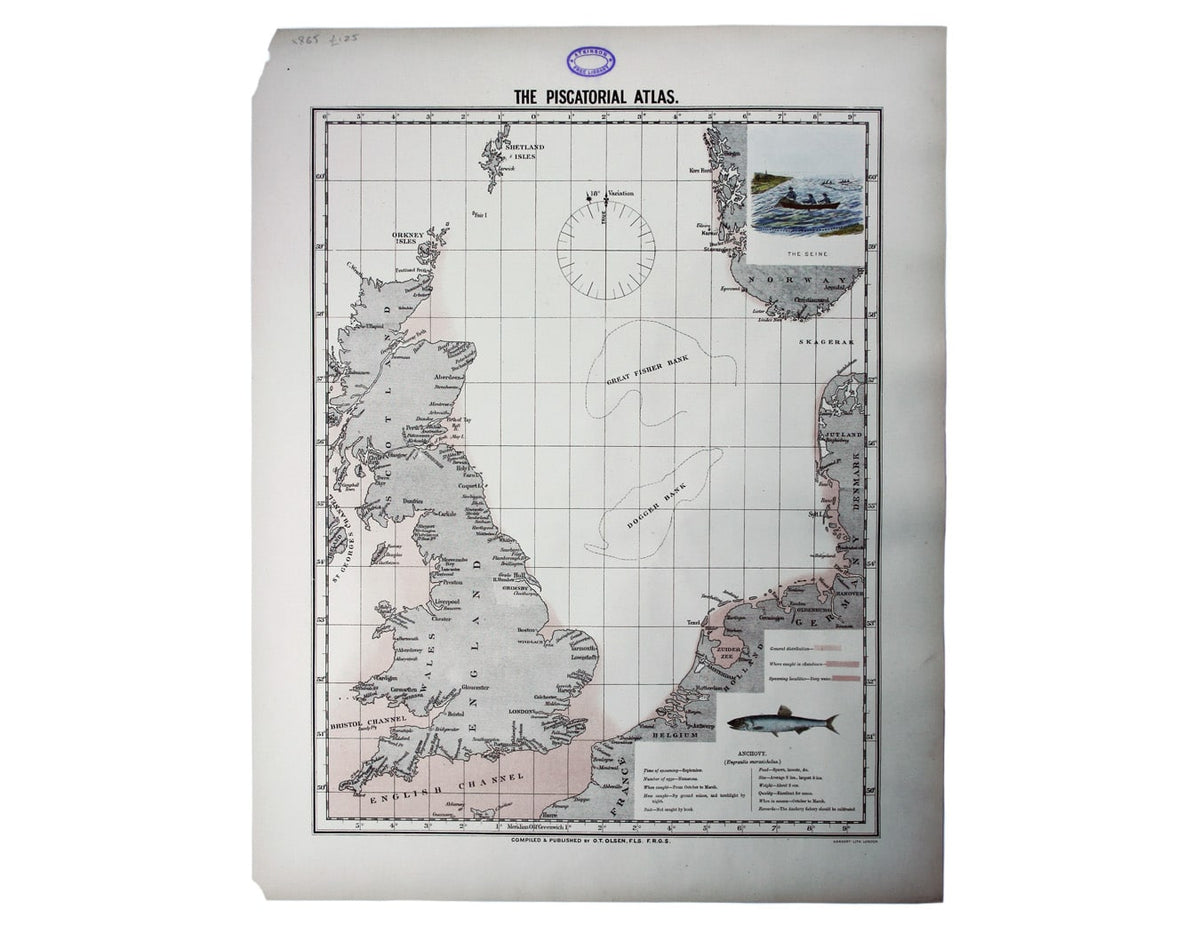Olsen’s Chart of Anchovy Stocks in British Waters