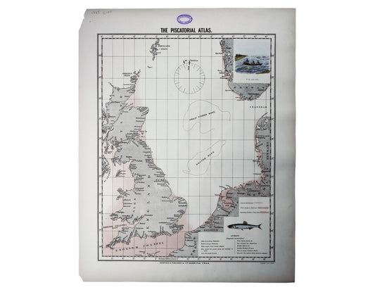 Olsen’s Chart of Anchovy Stocks in British Waters