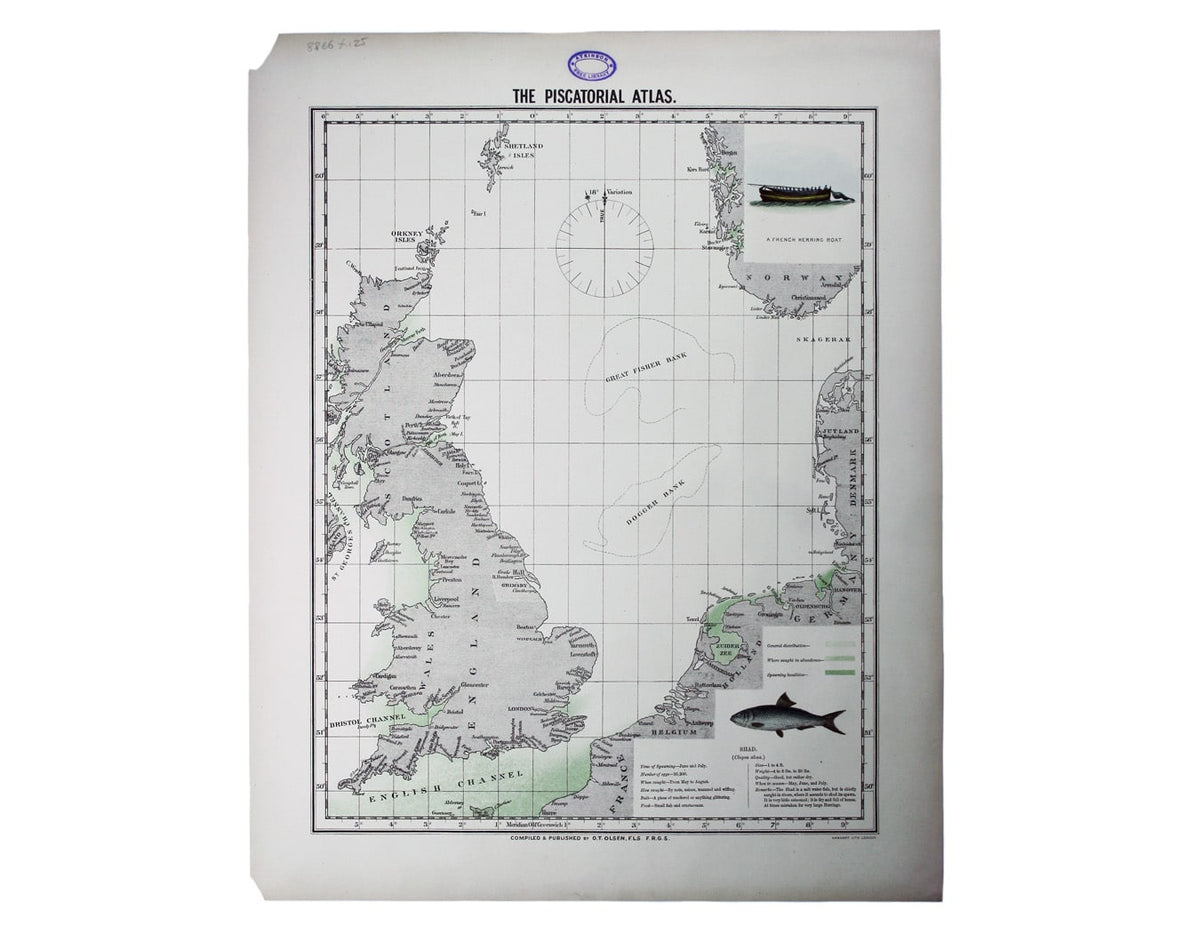 Olsen’s Chart of Shad Stocks in British Waters