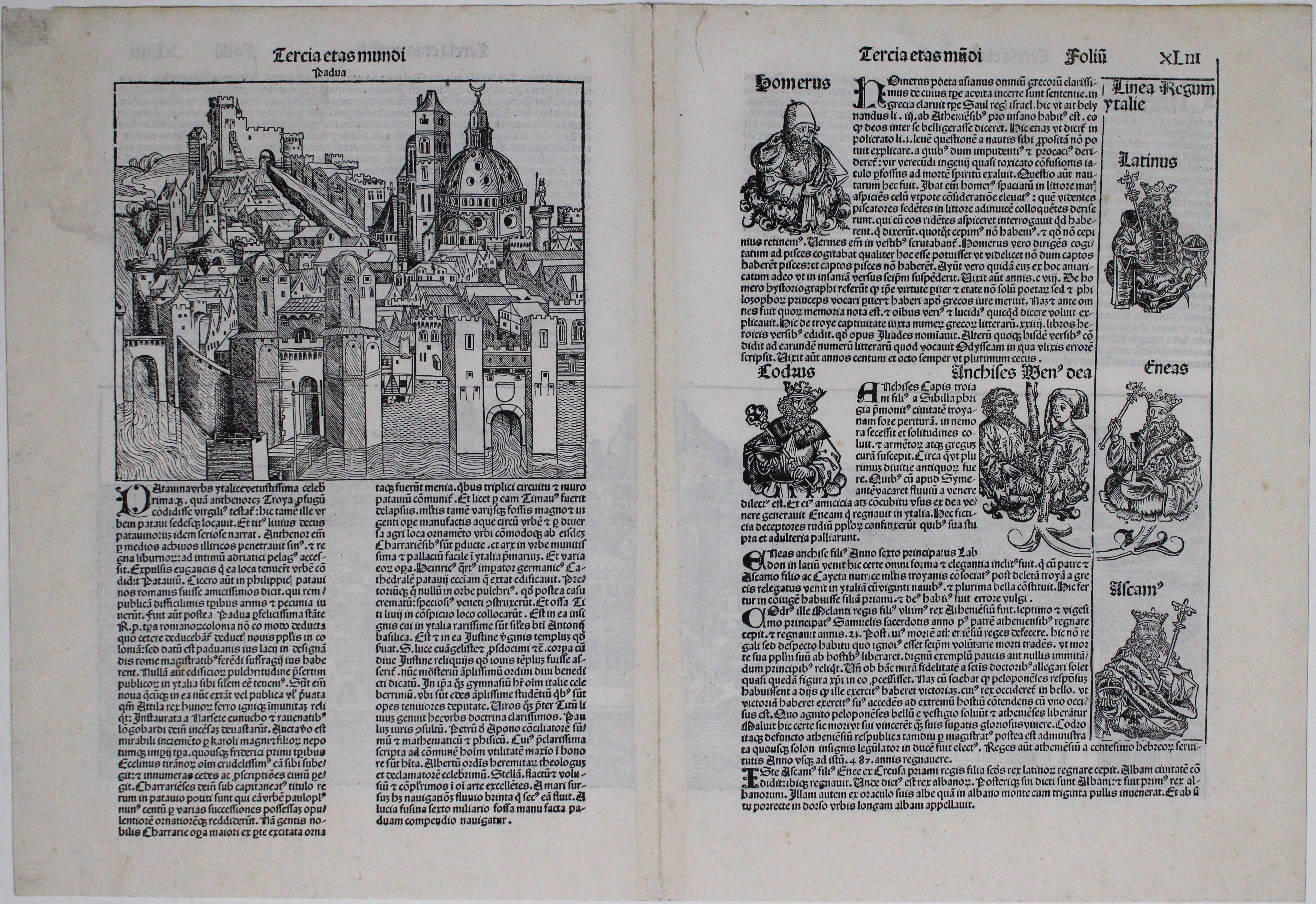The Nuremberg Chronicle Map of Venice